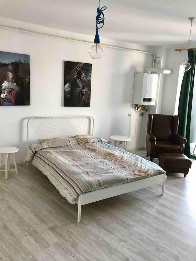 Beautiful Studio Near The Center Of Cluj Buitenkant foto